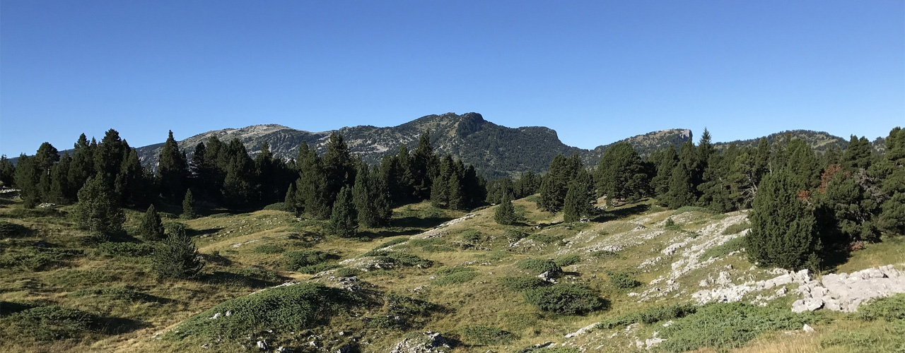Vercors 5 Slide background